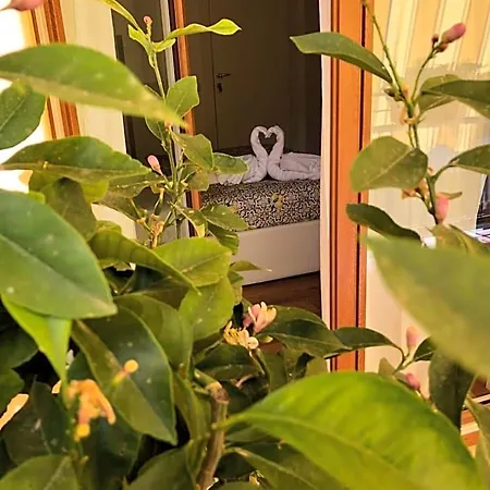 La Rada Bed & Breakfast 4*