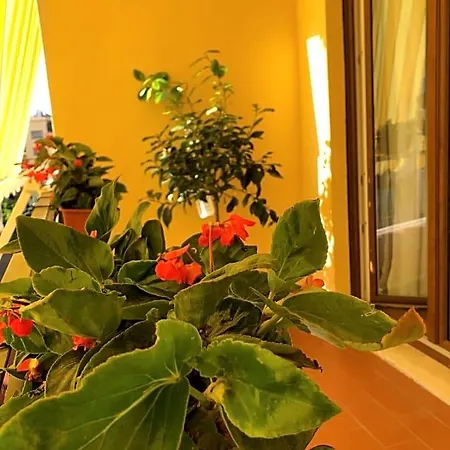 Bed & Breakfast La Rada