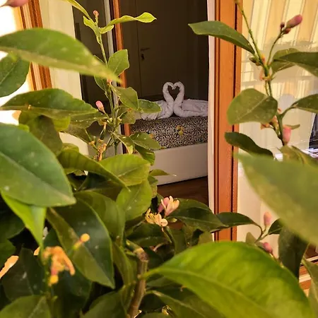 Bed & Breakfast La Rada