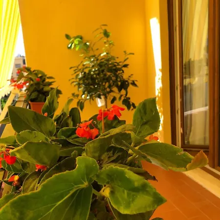 Bed & Breakfast La Rada