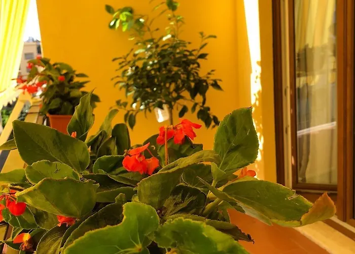 Bed & Breakfast La Rada